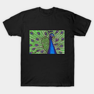 Peacock T-Shirt